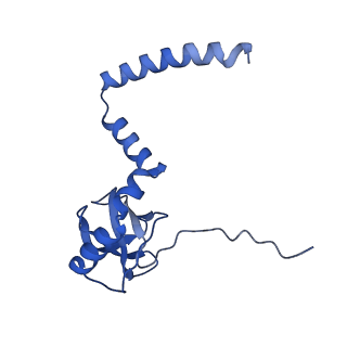 4474_6q8y_AM_v1-3
Cryo-EM structure of the mRNA translating and degrading yeast 80S ribosome-Xrn1 nuclease complex
