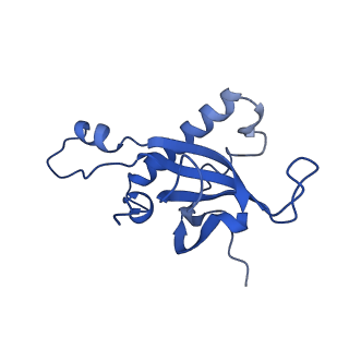 4474_6q8y_AN_v1-3
Cryo-EM structure of the mRNA translating and degrading yeast 80S ribosome-Xrn1 nuclease complex