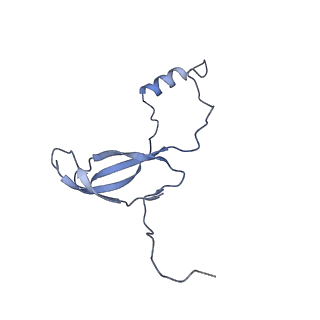 4474_6q8y_AP_v1-3
Cryo-EM structure of the mRNA translating and degrading yeast 80S ribosome-Xrn1 nuclease complex
