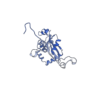 4474_6q8y_AQ_v1-3
Cryo-EM structure of the mRNA translating and degrading yeast 80S ribosome-Xrn1 nuclease complex