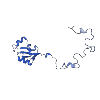 4474_6q8y_AR_v1-3
Cryo-EM structure of the mRNA translating and degrading yeast 80S ribosome-Xrn1 nuclease complex