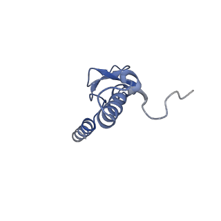 4474_6q8y_AT_v1-3
Cryo-EM structure of the mRNA translating and degrading yeast 80S ribosome-Xrn1 nuclease complex