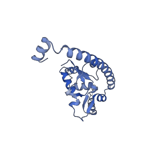 4474_6q8y_AU_v1-3
Cryo-EM structure of the mRNA translating and degrading yeast 80S ribosome-Xrn1 nuclease complex