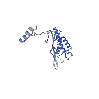 4474_6q8y_AX_v1-3
Cryo-EM structure of the mRNA translating and degrading yeast 80S ribosome-Xrn1 nuclease complex