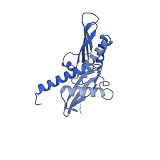 4474_6q8y_A_v1-3
Cryo-EM structure of the mRNA translating and degrading yeast 80S ribosome-Xrn1 nuclease complex
