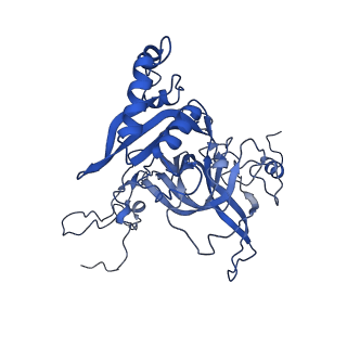 4474_6q8y_BA_v1-3
Cryo-EM structure of the mRNA translating and degrading yeast 80S ribosome-Xrn1 nuclease complex