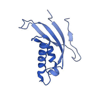 4474_6q8y_BC_v1-3
Cryo-EM structure of the mRNA translating and degrading yeast 80S ribosome-Xrn1 nuclease complex