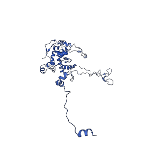 4474_6q8y_BE_v1-3
Cryo-EM structure of the mRNA translating and degrading yeast 80S ribosome-Xrn1 nuclease complex