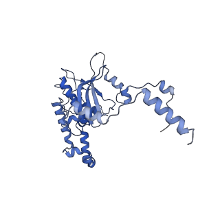 4474_6q8y_BI_v1-3
Cryo-EM structure of the mRNA translating and degrading yeast 80S ribosome-Xrn1 nuclease complex