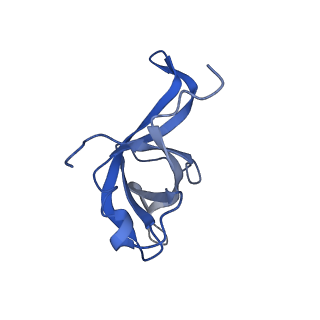 4474_6q8y_BK_v1-3
Cryo-EM structure of the mRNA translating and degrading yeast 80S ribosome-Xrn1 nuclease complex