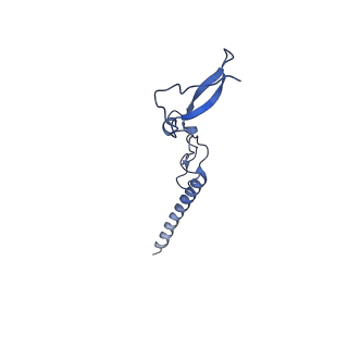 4474_6q8y_BN_v1-3
Cryo-EM structure of the mRNA translating and degrading yeast 80S ribosome-Xrn1 nuclease complex