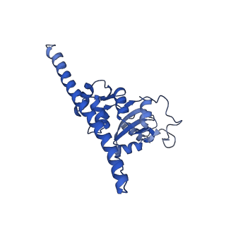 4474_6q8y_BO_v1-3
Cryo-EM structure of the mRNA translating and degrading yeast 80S ribosome-Xrn1 nuclease complex