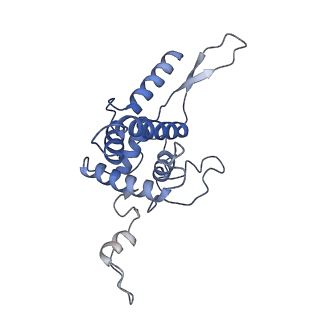 4474_6q8y_B_v1-3
Cryo-EM structure of the mRNA translating and degrading yeast 80S ribosome-Xrn1 nuclease complex