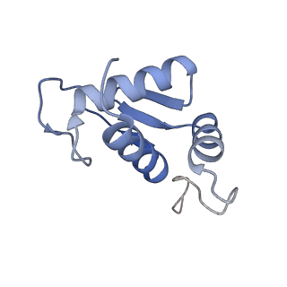 4474_6q8y_C_v1-3
Cryo-EM structure of the mRNA translating and degrading yeast 80S ribosome-Xrn1 nuclease complex