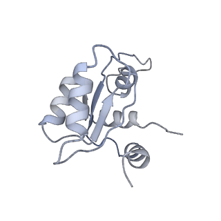 4474_6q8y_D_v1-3
Cryo-EM structure of the mRNA translating and degrading yeast 80S ribosome-Xrn1 nuclease complex