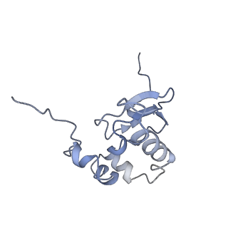 4474_6q8y_E_v1-3
Cryo-EM structure of the mRNA translating and degrading yeast 80S ribosome-Xrn1 nuclease complex