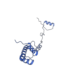 4474_6q8y_G_v1-3
Cryo-EM structure of the mRNA translating and degrading yeast 80S ribosome-Xrn1 nuclease complex