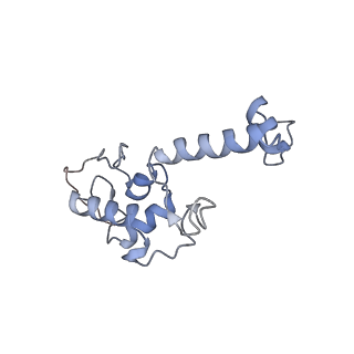 4474_6q8y_H_v1-3
Cryo-EM structure of the mRNA translating and degrading yeast 80S ribosome-Xrn1 nuclease complex