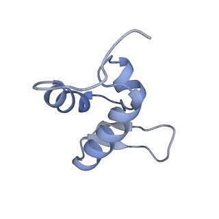 4474_6q8y_K_v1-3
Cryo-EM structure of the mRNA translating and degrading yeast 80S ribosome-Xrn1 nuclease complex