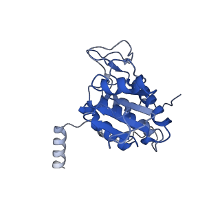 4474_6q8y_P_v1-3
Cryo-EM structure of the mRNA translating and degrading yeast 80S ribosome-Xrn1 nuclease complex