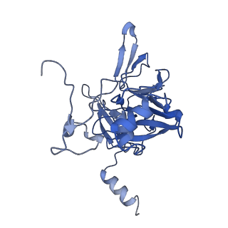 4474_6q8y_S_v1-3
Cryo-EM structure of the mRNA translating and degrading yeast 80S ribosome-Xrn1 nuclease complex