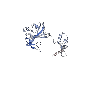 4474_6q8y_T_v1-3
Cryo-EM structure of the mRNA translating and degrading yeast 80S ribosome-Xrn1 nuclease complex
