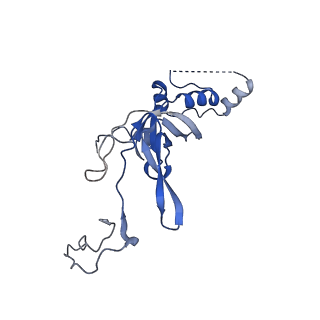 4474_6q8y_V_v1-3
Cryo-EM structure of the mRNA translating and degrading yeast 80S ribosome-Xrn1 nuclease complex