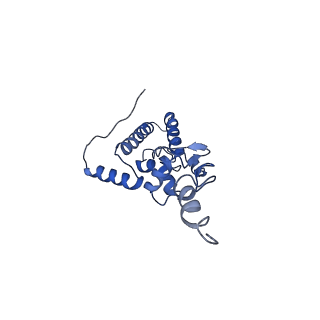 4474_6q8y_W_v1-3
Cryo-EM structure of the mRNA translating and degrading yeast 80S ribosome-Xrn1 nuclease complex