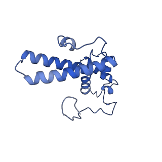 4474_6q8y_Y_v1-3
Cryo-EM structure of the mRNA translating and degrading yeast 80S ribosome-Xrn1 nuclease complex