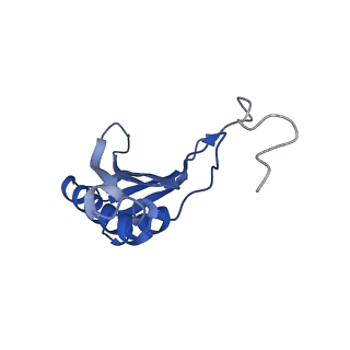 4474_6q8y_Z_v1-3
Cryo-EM structure of the mRNA translating and degrading yeast 80S ribosome-Xrn1 nuclease complex