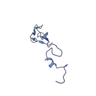 4474_6q8y_f_v1-3
Cryo-EM structure of the mRNA translating and degrading yeast 80S ribosome-Xrn1 nuclease complex