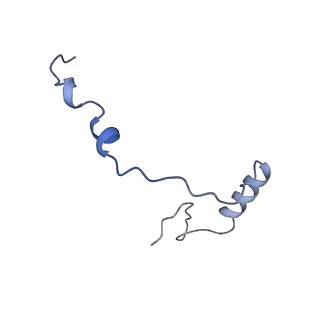 4474_6q8y_g_v1-3
Cryo-EM structure of the mRNA translating and degrading yeast 80S ribosome-Xrn1 nuclease complex