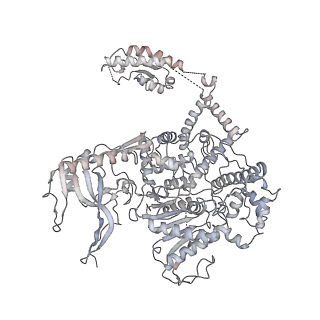 4474_6q8y_z_v1-3
Cryo-EM structure of the mRNA translating and degrading yeast 80S ribosome-Xrn1 nuclease complex