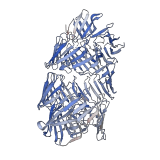 13867_7q97_A_v1-1
Structure of the bacterial type VI secretion system effector RhsA.