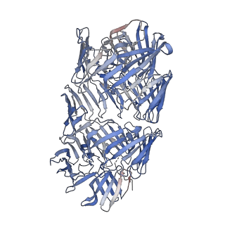 13867_7q97_B_v1-1
Structure of the bacterial type VI secretion system effector RhsA.