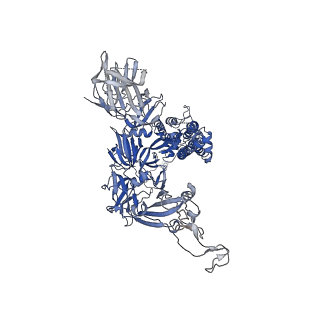 13868_7q9f_B_v1-3
Beta-50 fab in complex with SARS-CoV-2 beta-Spike glycoprotein