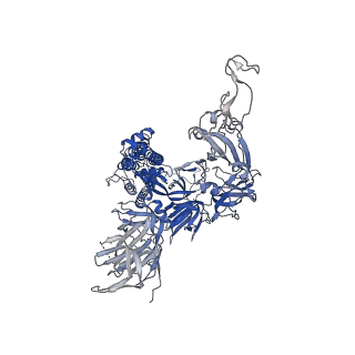 13868_7q9f_C_v1-3
Beta-50 fab in complex with SARS-CoV-2 beta-Spike glycoprotein