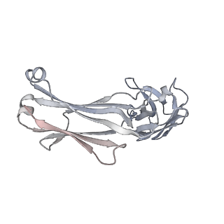 13868_7q9f_F_v1-3
Beta-50 fab in complex with SARS-CoV-2 beta-Spike glycoprotein