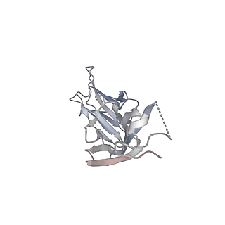 13868_7q9f_J_v1-3
Beta-50 fab in complex with SARS-CoV-2 beta-Spike glycoprotein