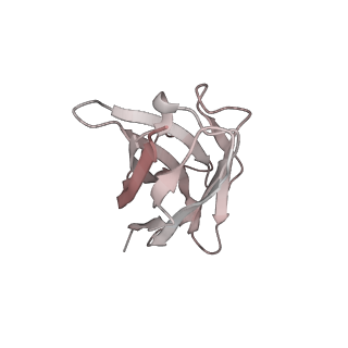 13870_7q9i_E_v1-3
Beta-43 fab in complex with SARS-CoV-2 beta-Spike glycoprotein