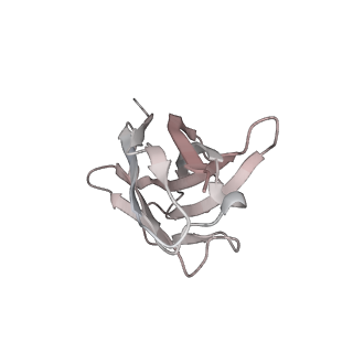 13870_7q9i_H_v1-3
Beta-43 fab in complex with SARS-CoV-2 beta-Spike glycoprotein