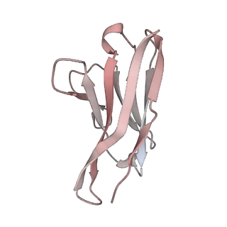 13870_7q9i_L_v1-3
Beta-43 fab in complex with SARS-CoV-2 beta-Spike glycoprotein