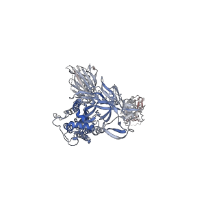 13871_7q9j_C_v1-3
Beta-26 fab in complex with SARS-CoV-2 beta-Spike glycoprotein