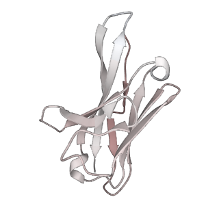 13871_7q9j_F_v1-3
Beta-26 fab in complex with SARS-CoV-2 beta-Spike glycoprotein