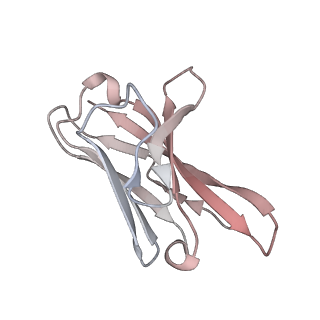 13871_7q9j_K_v1-3
Beta-26 fab in complex with SARS-CoV-2 beta-Spike glycoprotein