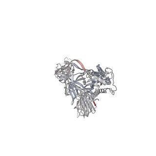13872_7q9k_B_v1-3
Beta-32 fab in complex with SARS-CoV-2 beta-Spike glycoprotein