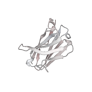 13872_7q9k_H_v1-3
Beta-32 fab in complex with SARS-CoV-2 beta-Spike glycoprotein