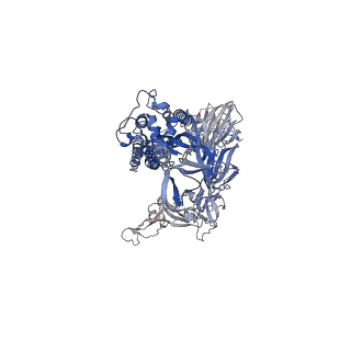13873_7q9m_B_v1-3
Beta-53 fab in complex with SARS-CoV-2 beta-Spike glycoprotein