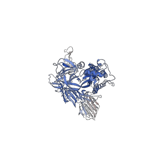 13873_7q9m_C_v1-3
Beta-53 fab in complex with SARS-CoV-2 beta-Spike glycoprotein