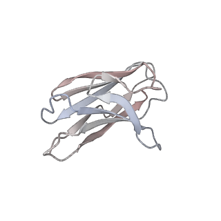 13873_7q9m_F_v1-3
Beta-53 fab in complex with SARS-CoV-2 beta-Spike glycoprotein